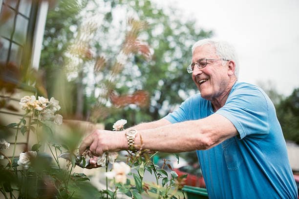 Gardening May Help Protect Your Brain as You Age