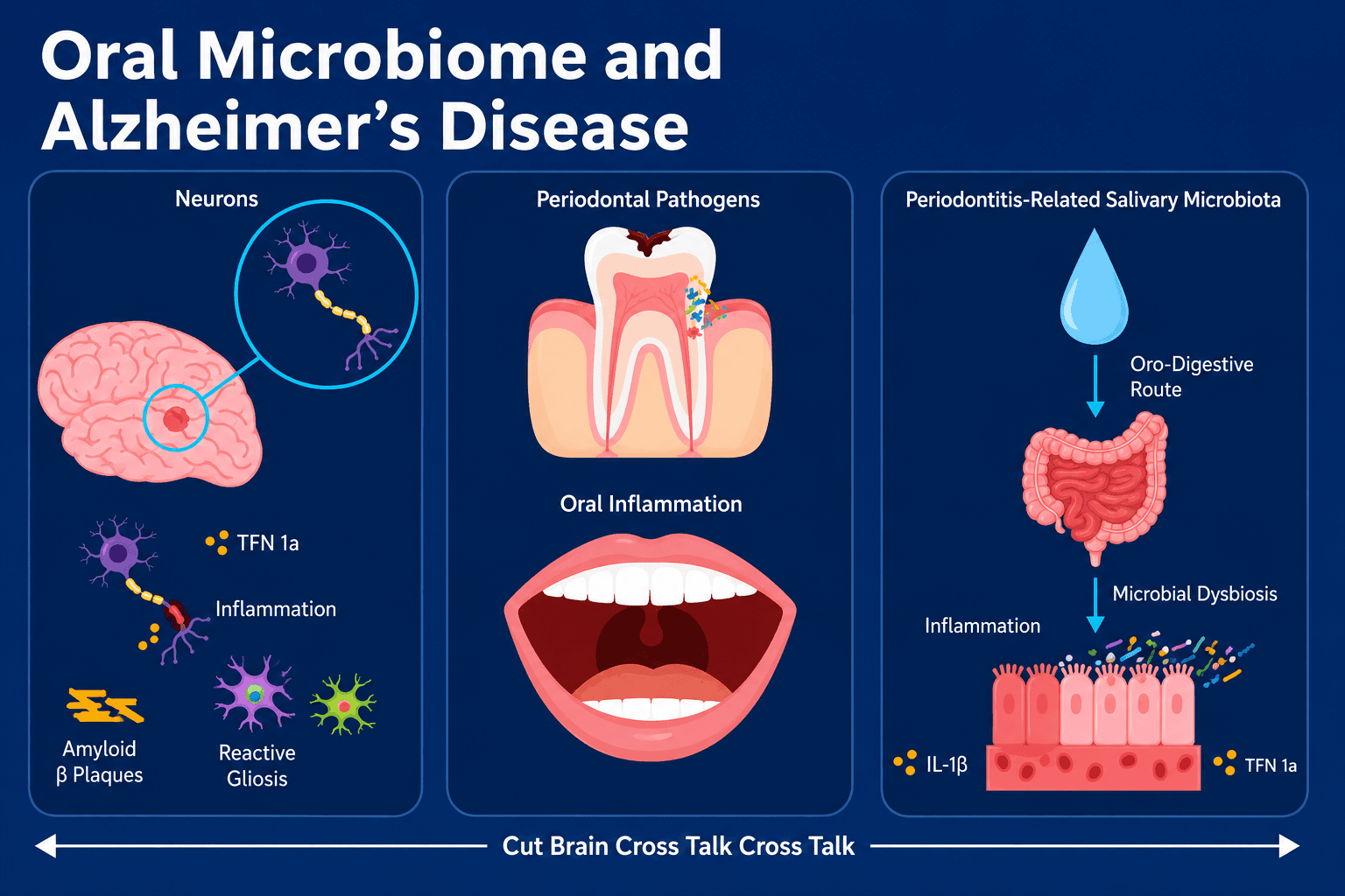 The Saliva Microbiome: How Oral Bacteria Affect Blood Flow and Health