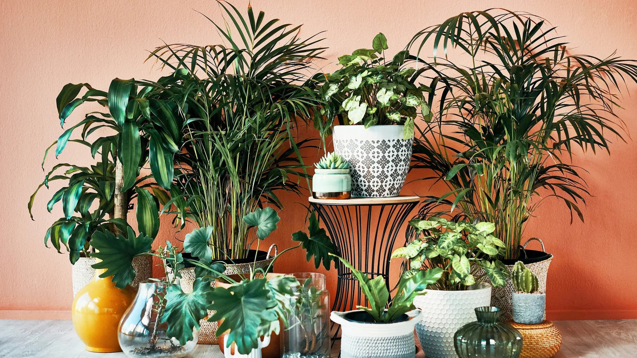 The Hidden Way Your Home Air Affects Your Lung Defense
