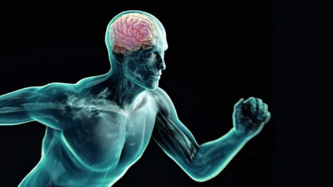 Why Moving More Could Be the Real Key to Thinking Better?